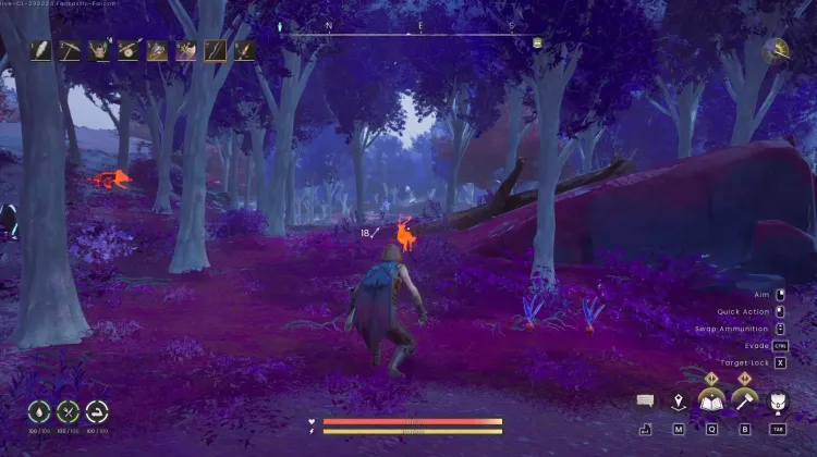Deer