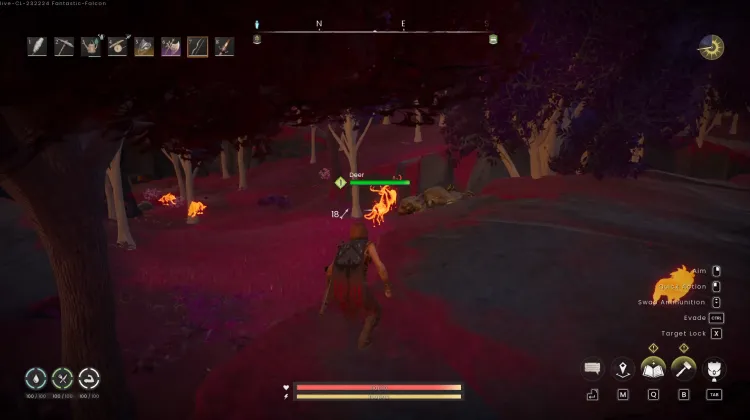 Deer