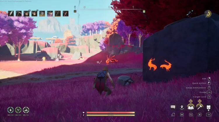 Deer