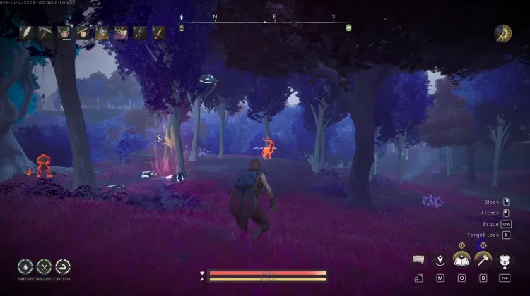 Deer