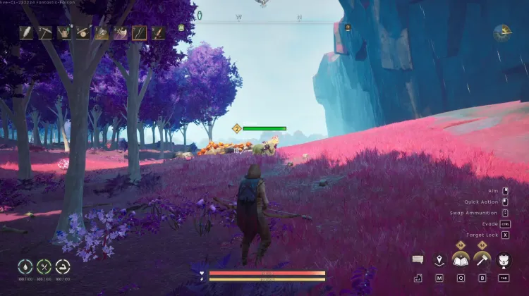 Sheep