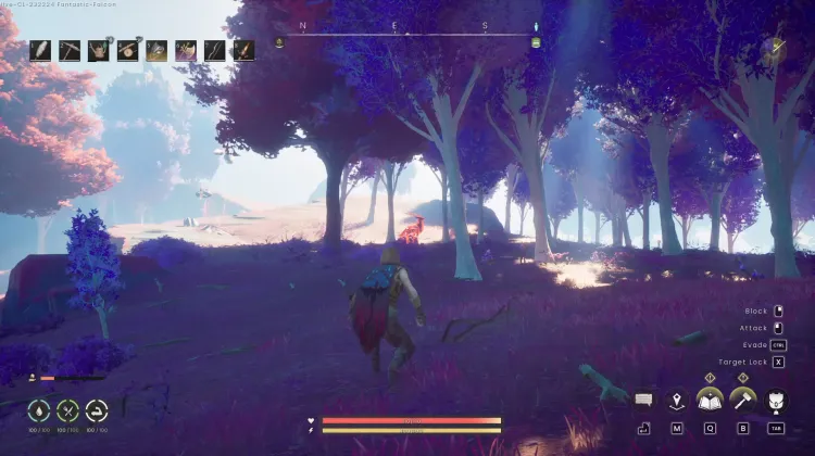 Deer