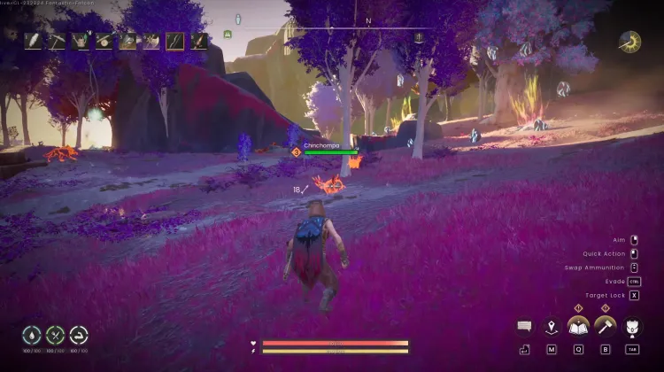 Chinchompa
