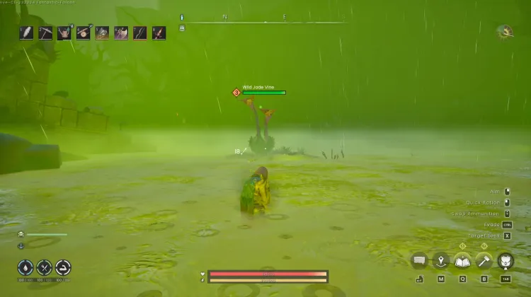 Wild Jade Vine