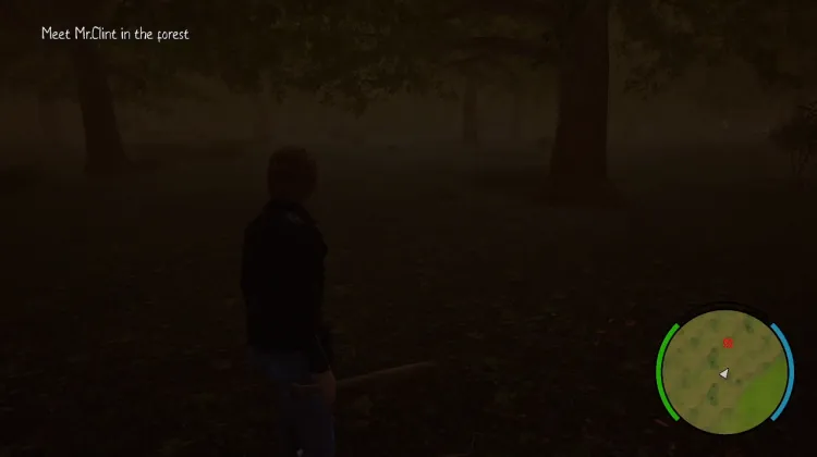 Meet Mr. Clint in the Forest