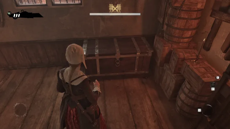 Chest
