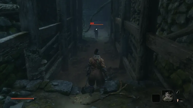 Lone Shadow Longswordsman