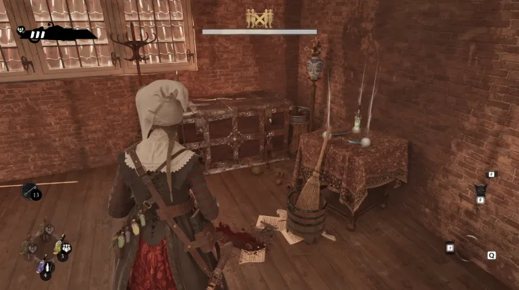 Chest
