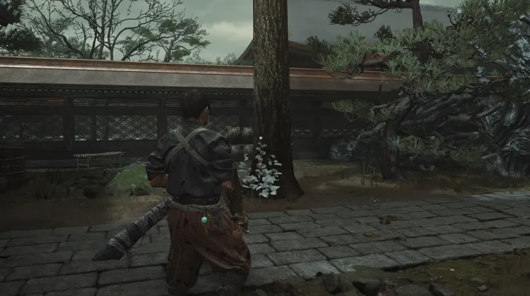 Hozuki