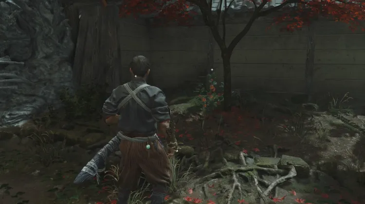 Hozuki x2
