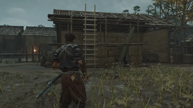Tangga