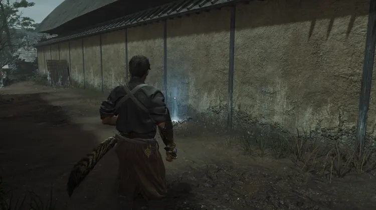 Saké non raffiné