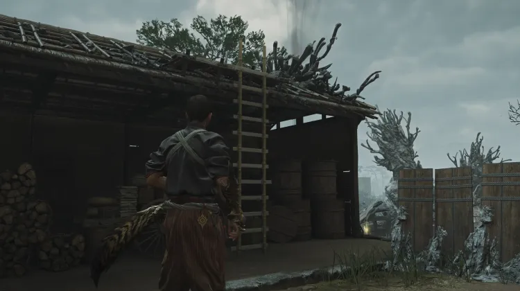 Tangga