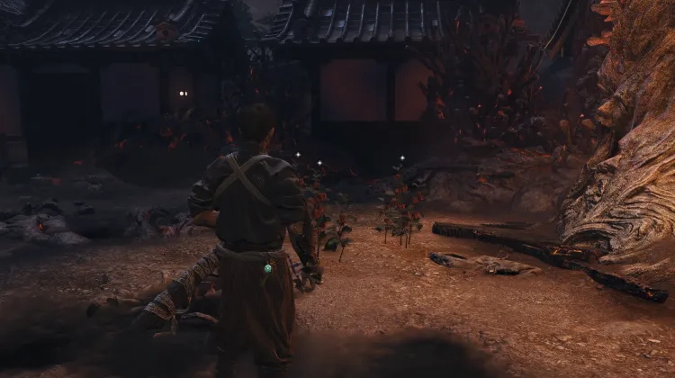 Hozuki x3
