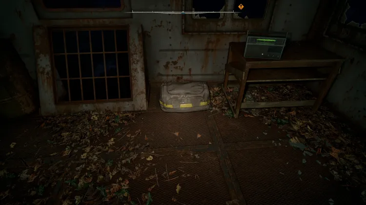 Bag