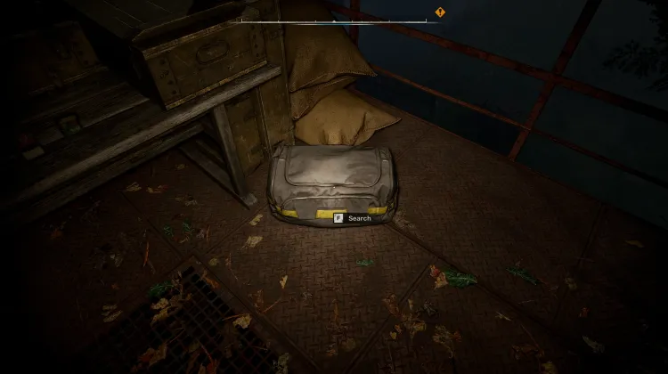 Bag