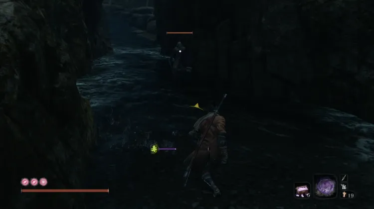 Ninja