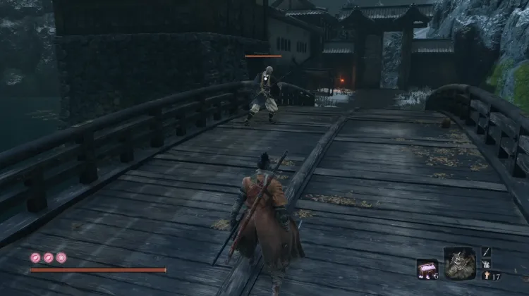 Shinobi Hunting Monk
