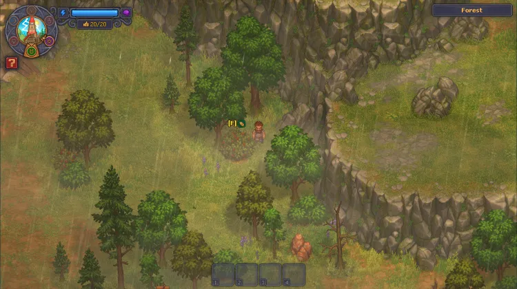 Berberitzen-Strauch