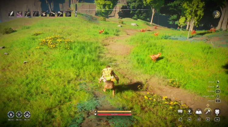 Chicken x5