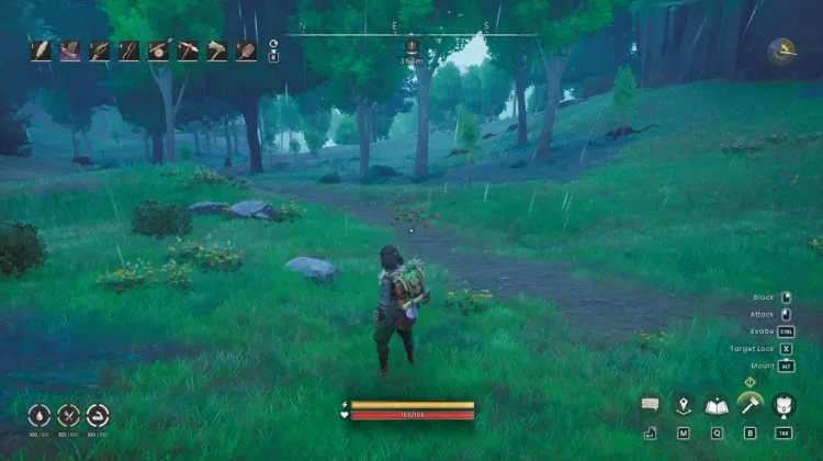 Redberry Bush x2
