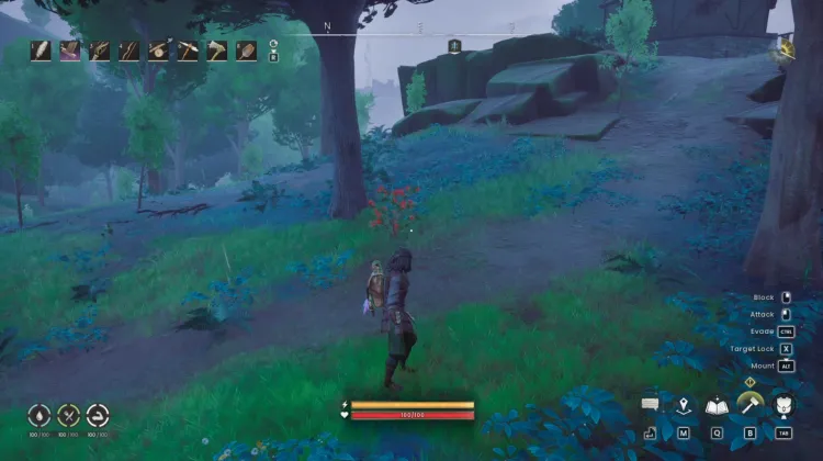 Redberry Bush x2