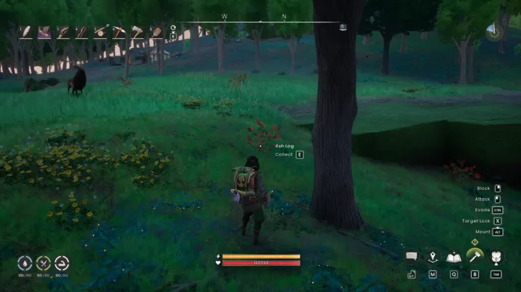 Redberry Bush x3
