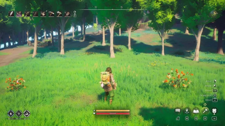 Redberry Bush x3