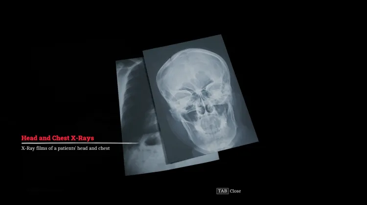 X-Ray Film