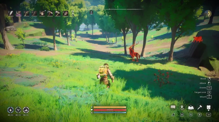 Deer