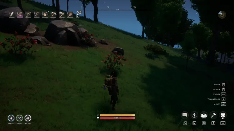 Redberry Bush x4