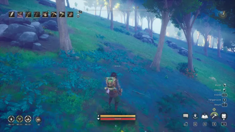 Redberry Bush x2
