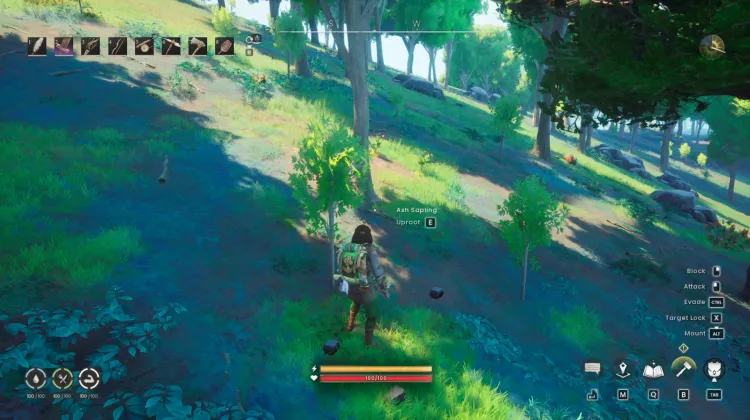 Potato x4