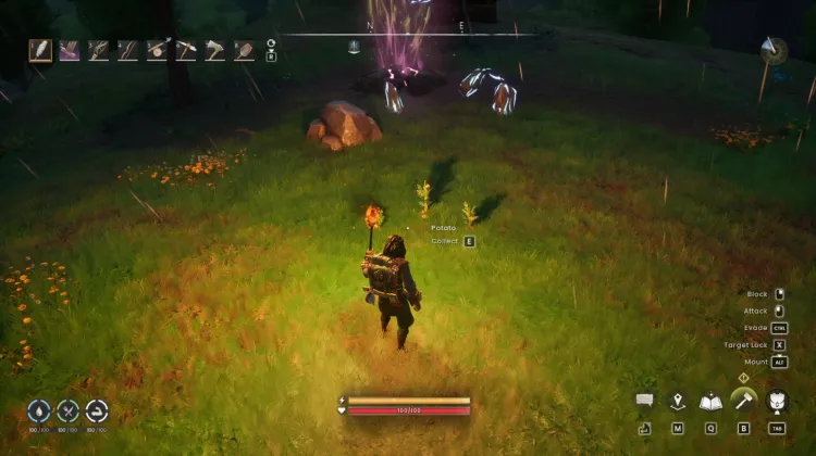 Potato x3