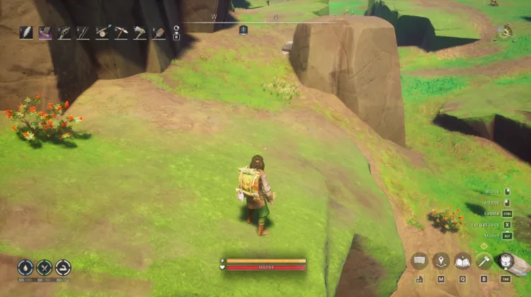 Redberry Bush x2