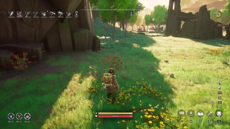 Redberry Bush x3
