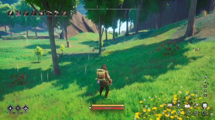 Redberry Bush x2