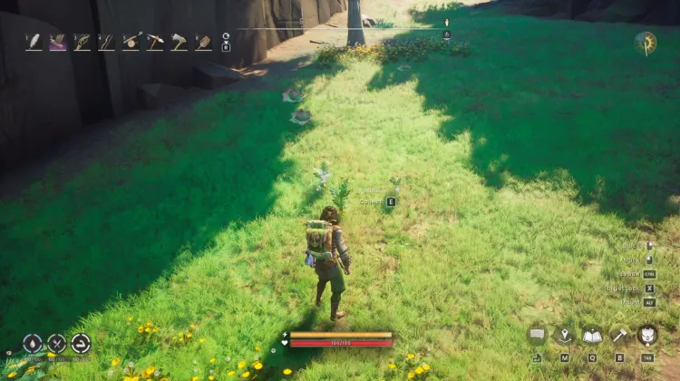 Potato x3