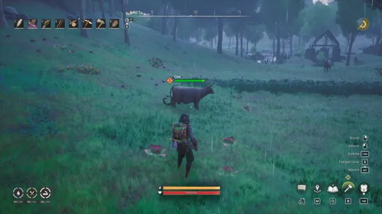 Cow