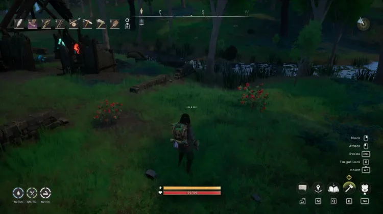 Redberry Bush x2