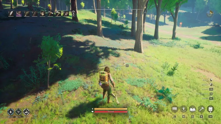 Potato x3