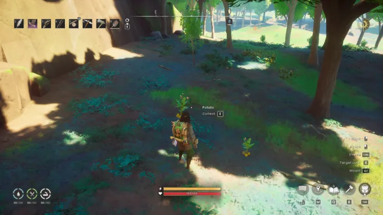 Potato x2