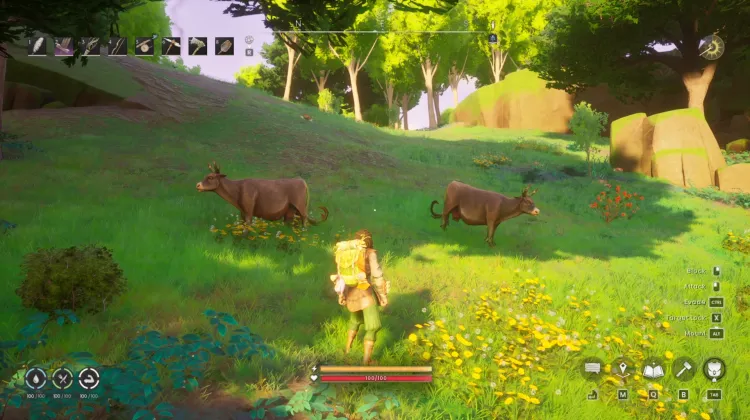 Cow x2