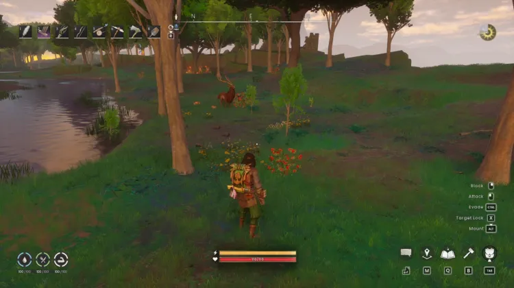 Redberry Bush x2