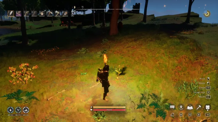 Potato