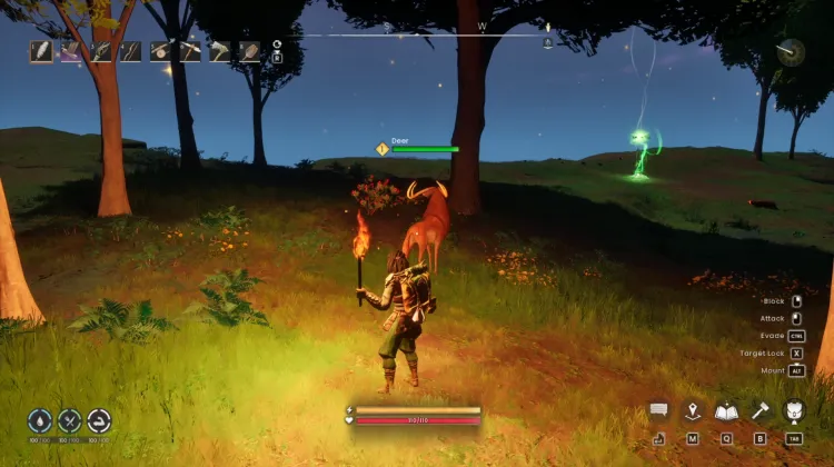 Deer