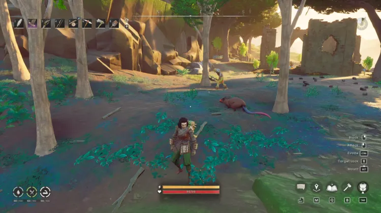 Giant Rat