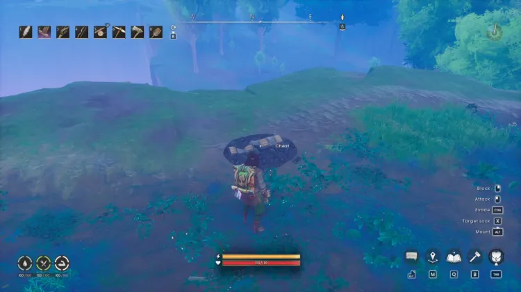 Buried Chest