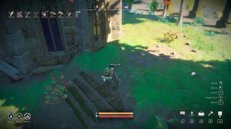 Redberry Bush x2