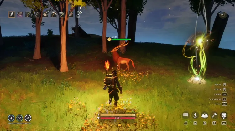 Deer